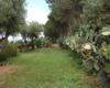 Dependance Elide holiday home near Tropea – photo 47
