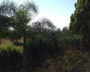 Dependance Elide holiday home near Tropea – photo 51