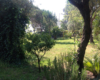 Dependance Elide holiday home near Tropea – photo 50