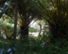 Dependance Elide holiday home near Tropea – photo 40
