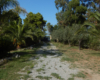 Dependance Elide holiday home near Tropea – photo 39