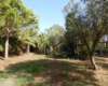 Dependance Elide holiday home near Tropea – photo 38